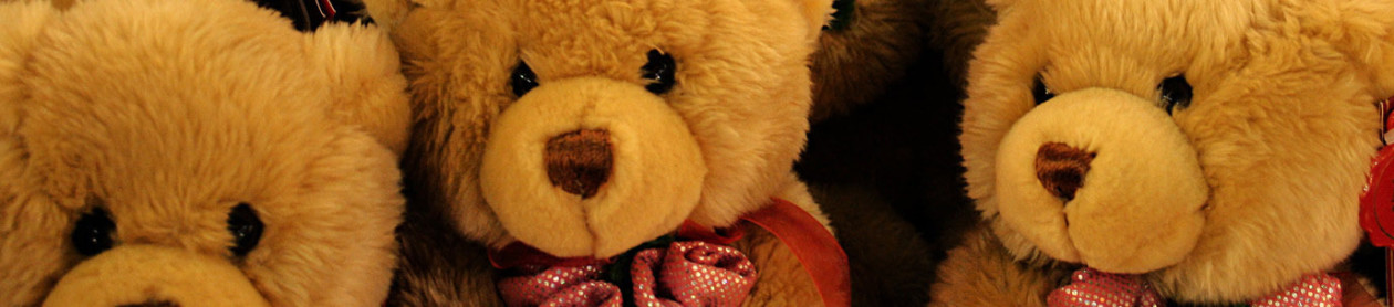 My teddy bear